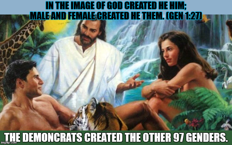 God made Man and Woman - the rest are an ABOMINATION in His eyes! | IN THE IMAGE OF GOD CREATED HE HIM; MALE AND FEMALE CREATED HE THEM. (GEN 1:27); THE DEMONCRATS CREATED THE OTHER 97 GENDERS. | image tagged in creation,god,gender,adam and eve,biological sex | made w/ Imgflip meme maker