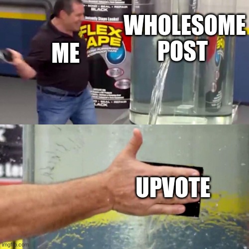 Phil Swift flex tape | WHOLESOME POST; ME; UPVOTE | image tagged in phil swift flex tape | made w/ Imgflip meme maker