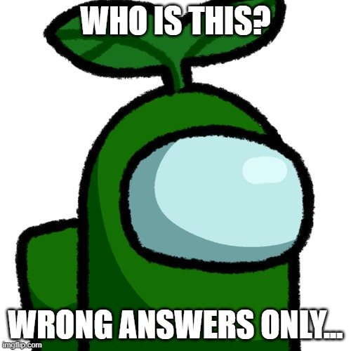 Transparent Plant | WHO IS THIS? WRONG ANSWERS ONLY... | image tagged in transparent plant | made w/ Imgflip meme maker