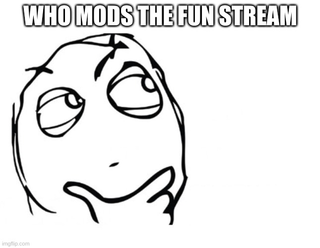 hmmm | WHO MODS THE FUN STREAM | image tagged in hmmm | made w/ Imgflip meme maker