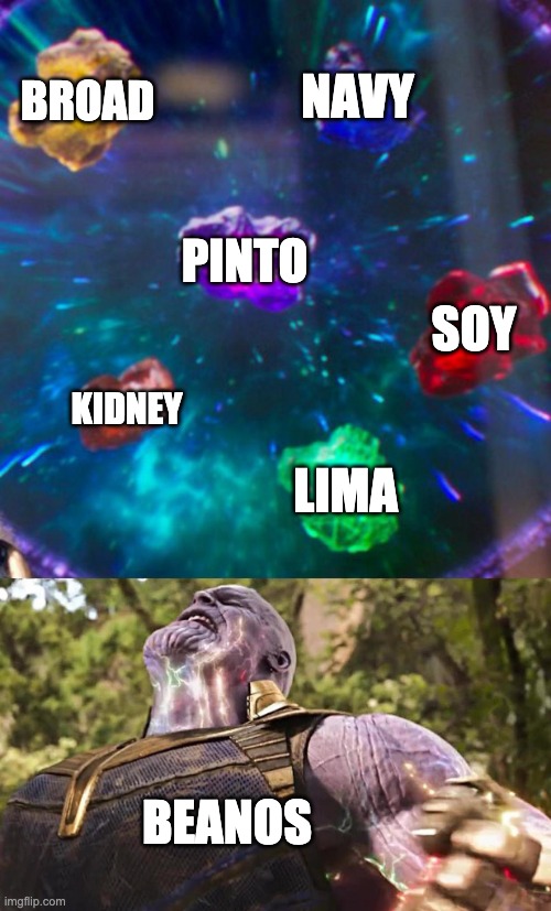 Thanos Infinity Stones | BROAD NAVY PINTO KIDNEY LIMA SOY BEANOS | image tagged in thanos infinity stones | made w/ Imgflip meme maker