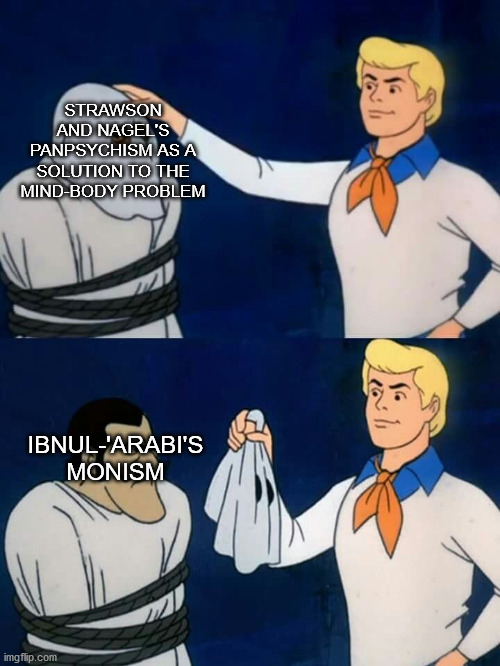 Arcane philosophy / theology meme | STRAWSON AND NAGEL'S PANPSYCHISM AS A SOLUTION TO THE MIND-BODY PROBLEM; IBNUL-'ARABI'S MONISM | image tagged in scooby doo mask reveal,panpsychism,monism,theology,philosophy | made w/ Imgflip meme maker