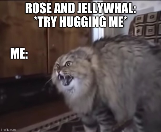 SPIRITS BEGONE | ROSE AND JELLYWHAL: *TRY HUGGING ME*; ME: | image tagged in hissing cat | made w/ Imgflip meme maker