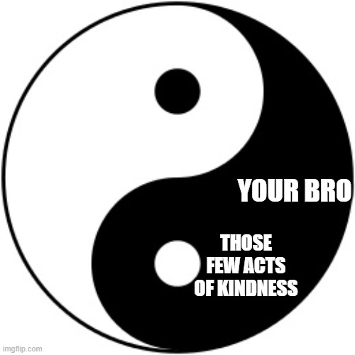Yin Yang | THOSE FEW ACTS OF KINDNESS YOUR BRO | image tagged in yin yang | made w/ Imgflip meme maker
