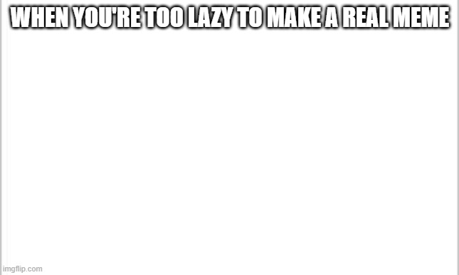 white background | WHEN YOU'RE TOO LAZY TO MAKE A REAL MEME | image tagged in white background | made w/ Imgflip meme maker