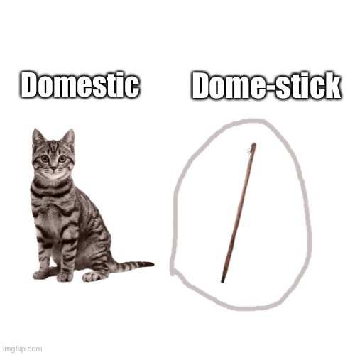 Does this belong in cats? | Domestic; Dome-stick | image tagged in memes,domestic cat | made w/ Imgflip meme maker