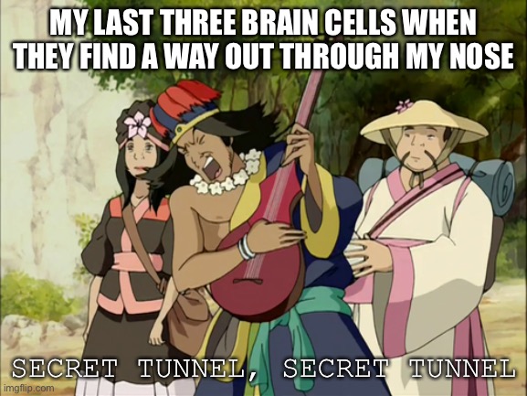 SeCrEt TuNnEl | MY LAST THREE BRAIN CELLS WHEN THEY FIND A WAY OUT THROUGH MY NOSE; SECRET TUNNEL, SECRET TUNNEL | image tagged in secret tunnel | made w/ Imgflip meme maker