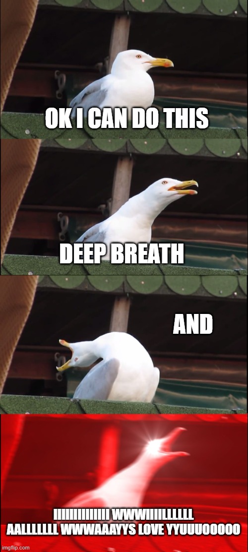 Inhaling Seagull | OK I CAN DO THIS; DEEP BREATH; AND; IIIIIIIIIIIIII WWWIIIILLLLLL AALLLLLLL WWWAAAYYS LOVE YYUUUOOOOO | image tagged in memes,inhaling seagull | made w/ Imgflip meme maker