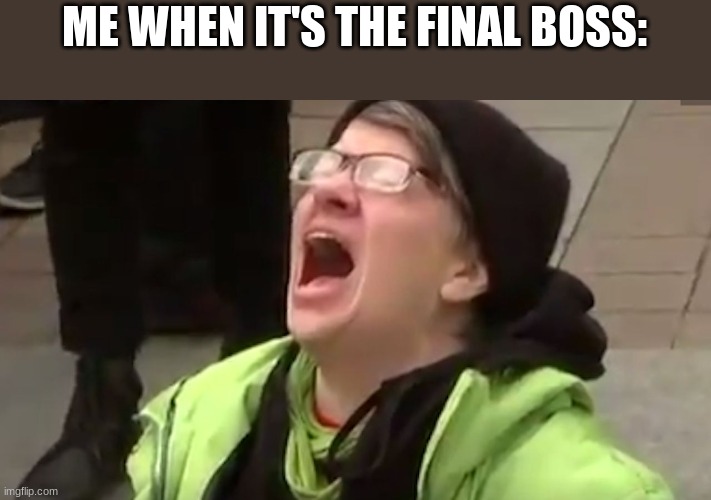 Screaming Liberal  | ME WHEN IT'S THE FINAL BOSS: | image tagged in screaming liberal | made w/ Imgflip meme maker