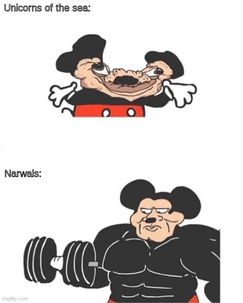 Strong Mickey Mouse | Unicorns of the sea:; Narwals: | image tagged in strong mickey mouse | made w/ Imgflip meme maker