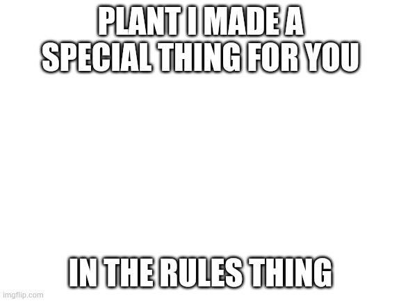 Check it out | PLANT I MADE A SPECIAL THING FOR YOU; IN THE RULES THING | image tagged in blank white template | made w/ Imgflip meme maker