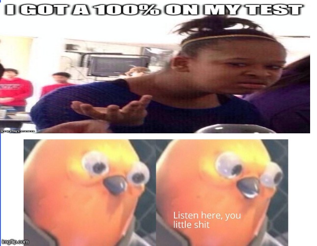 image tagged in listen here you little shit bird,confused black girl | made w/ Imgflip meme maker