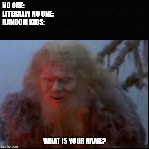 random kids | NO ONE:
LITERALLY NO ONE: 
RANDOM KIDS:; WHAT IS YOUR NAME? | image tagged in monty python and the holy grail | made w/ Imgflip meme maker