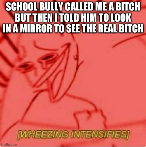 WHEEEEEEEEEEEEEEEEEEZE dont bully kids it is bad | SCHOOL BULLY CALLED ME A BITCH
BUT THEN I TOLD HIM TO LOOK IN A MIRROR TO SEE THE REAL BITCH | image tagged in wheeze | made w/ Imgflip meme maker
