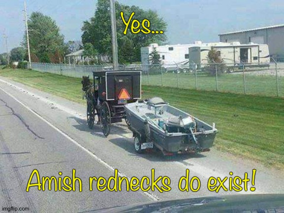 Yes... Amish rednecks do exist! | image tagged in amish | made w/ Imgflip meme maker