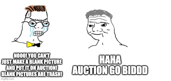 nooo haha go brrr | NOOO! YOU CAN'T JUST MAKE A BLANK PICTURE AND PUT IT ON AUCTION! BLANK PICTURES ARE TRASH! HAHA AUCTION GO BIDDD | image tagged in nooo haha go brrr | made w/ Imgflip meme maker