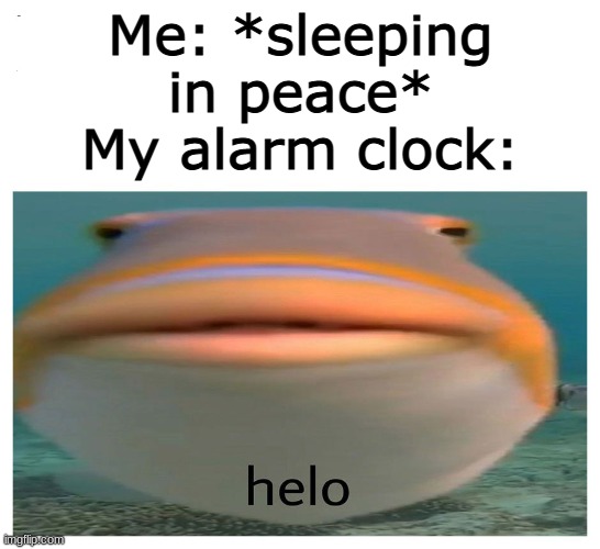 Homemade Relatable memes part 1 | Me: *sleeping in peace*
My alarm clock: | image tagged in helo fish | made w/ Imgflip meme maker
