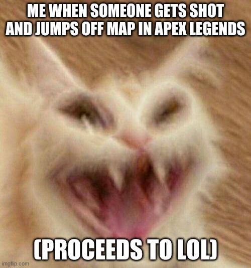 lol cat | ME WHEN SOMEONE GETS SHOT AND JUMPS OFF MAP IN APEX LEGENDS; (PROCEEDS TO LOL) | image tagged in lol cat | made w/ Imgflip meme maker
