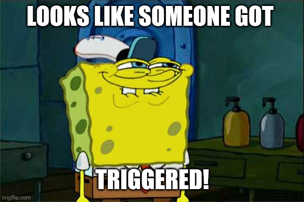 Don't You Squidward Meme | LOOKS LIKE SOMEONE GOT TRIGGERED! | image tagged in memes,don't you squidward | made w/ Imgflip meme maker