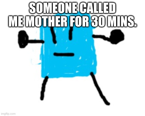 Icy | SOMEONE CALLED ME MOTHER FOR 30 MINS. | image tagged in icy | made w/ Imgflip meme maker