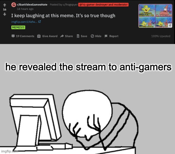 keep a look out for anti-gamres | he revealed the stream to anti-gamers | image tagged in memes,computer guy facepalm | made w/ Imgflip meme maker