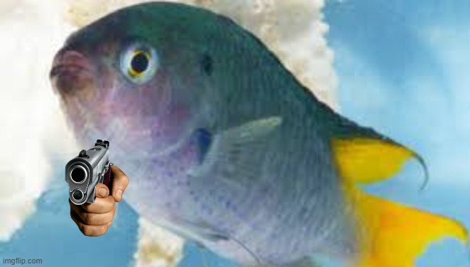 Bullshit fish | image tagged in bullshit fish | made w/ Imgflip meme maker