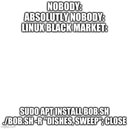 Blank Transparent Square | NOBODY:
ABSOLUTLY NOBODY:
LINUX BLACK MARKET:; SUDO APT INSTALL BOB.SH
./BOB.SH -R "DISHES, SWEEP"; CLOSE | image tagged in memes,blank transparent square | made w/ Imgflip meme maker