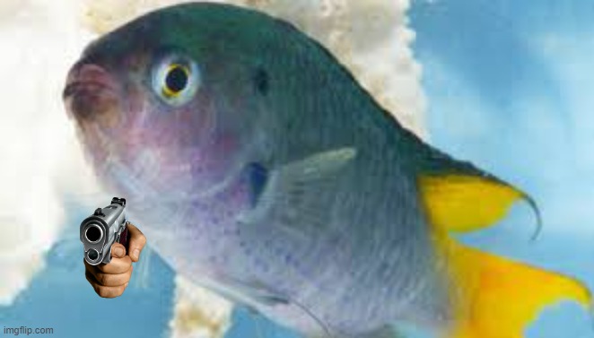 Bullshit fish | image tagged in bullshit fish | made w/ Imgflip meme maker