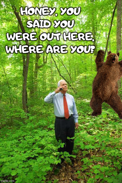 Lost in the Woods | HONEY, YOU SAID YOU WERE OUT HERE, WHERE ARE YOU? | image tagged in lost in the woods | made w/ Imgflip meme maker