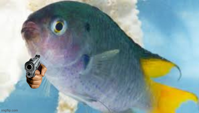 Bullshit fish | image tagged in bullshit fish | made w/ Imgflip meme maker