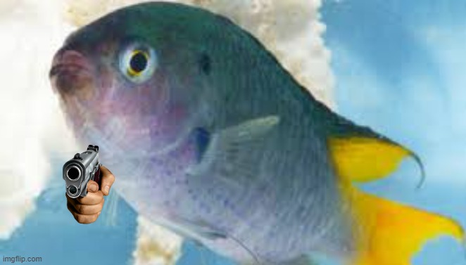 Bullshit fish | image tagged in bullshit fish | made w/ Imgflip meme maker