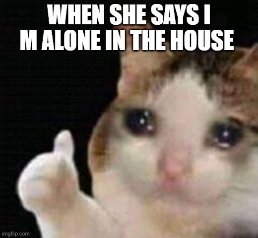 Approved crying cat | WHEN SHE SAYS I M ALONE IN THE HOUSE | image tagged in approved crying cat | made w/ Imgflip meme maker