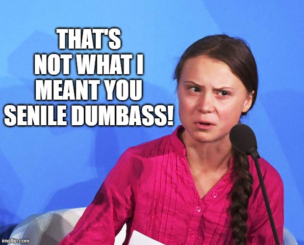 AngGreta Thunberg | THAT'S NOT WHAT I MEANT YOU SENILE DUMBASS! | image tagged in anggreta thunberg | made w/ Imgflip meme maker