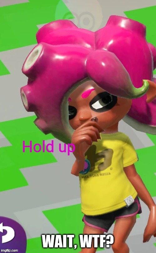 Octoling Hold up | WAIT, WTF? | image tagged in octoling hold up | made w/ Imgflip meme maker