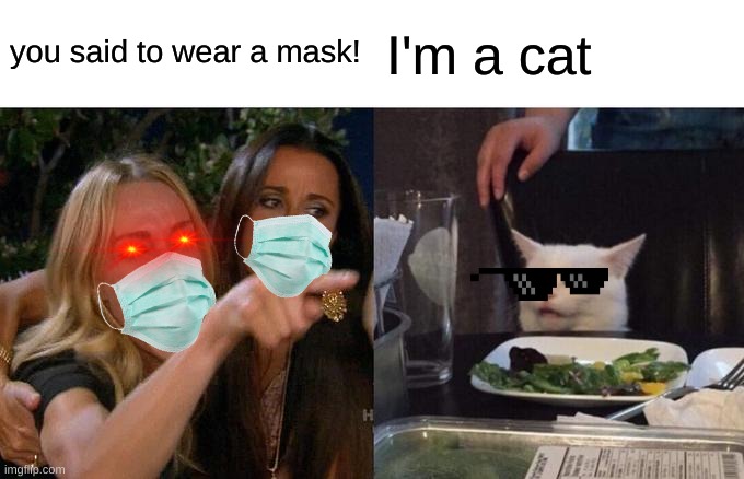 makes sense | you said to wear a mask! I'm a cat | image tagged in memes,woman yelling at cat | made w/ Imgflip meme maker