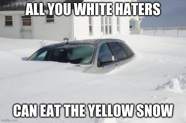 Problem solved | ALL YOU WHITE HATERS; CAN EAT THE YELLOW SNOW | image tagged in snow storm large,problem solved,hating whites is racist,eat yellow snow,racist snow,reading tags is racist too | made w/ Imgflip meme maker