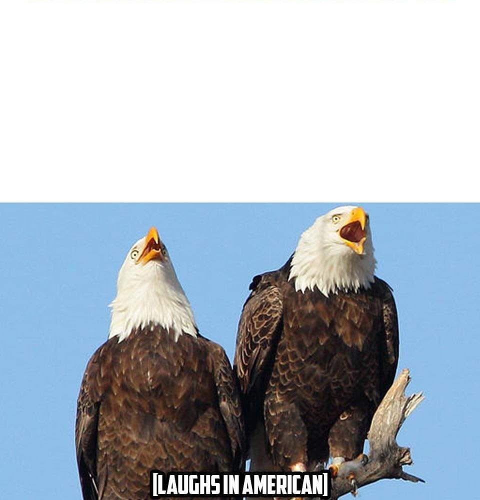 High Quality Eagles Laugh in American Blank Meme Template