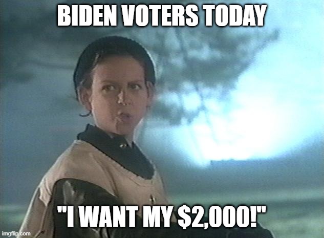 I want my $2,000 | BIDEN VOTERS TODAY; "I WANT MY $2,000!" | image tagged in biden voter | made w/ Imgflip meme maker