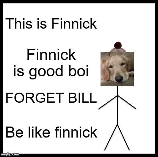 Be Like Bill Meme | This is Finnick; Finnick is good boi; FORGET BILL; Be like finnick | image tagged in memes,be like bill,doggos | made w/ Imgflip meme maker