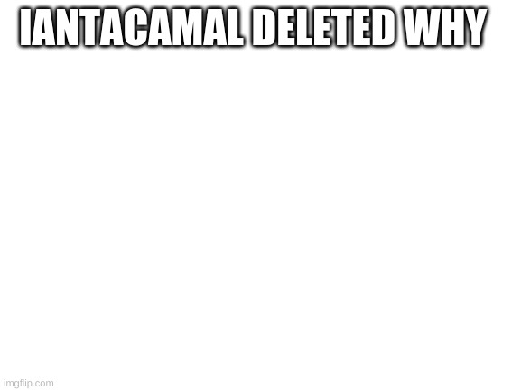 Blank White Template | IANTACAMAL DELETED WHY | image tagged in blank white template | made w/ Imgflip meme maker