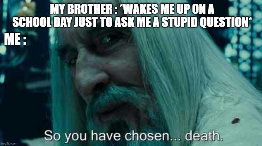 This happens to me every single night | MY BROTHER : *WAKES ME UP ON A SCHOOL DAY JUST TO ASK ME A STUPID QUESTION*; ME : | image tagged in so you have chosen death | made w/ Imgflip meme maker