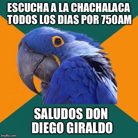 Paranoid Parrot Meme | ESCUCHA A LA CHACHALACA TODOS LOS DIAS POR 750AM SALUDOS DON DIEGO GIRALDO | image tagged in memes,paranoid parrot | made w/ Imgflip meme maker