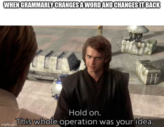 So annoying | WHEN GRAMMARLY CHANGES A WORD AND CHANGES IT BACK | image tagged in hold on this whole operation was your idea | made w/ Imgflip meme maker