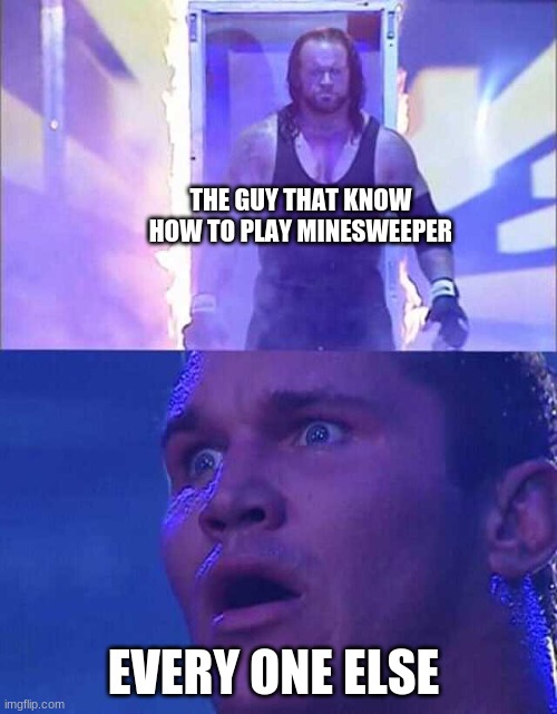 Undertaker Orton | THE GUY THAT KNOW           HOW TO PLAY MINESWEEPER; EVERY ONE ELSE | image tagged in undertaker orton | made w/ Imgflip meme maker