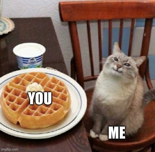Cat likes their waffle | YOU ME | image tagged in cat likes their waffle | made w/ Imgflip meme maker