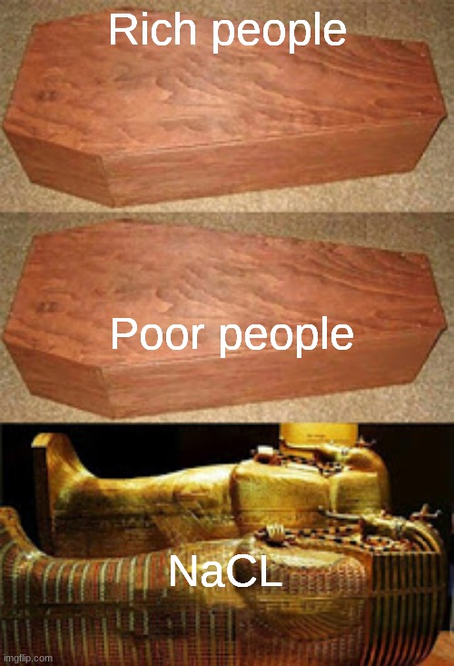 If you see this, I miss you, man. I'm sorry I'd left | Rich people; Poor people; NaCL | image tagged in golden coffin meme | made w/ Imgflip meme maker