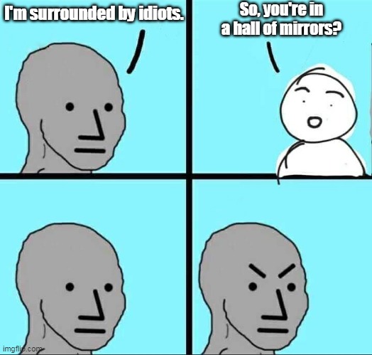 Insults are Right Back at Ya | So, you're in a hall of mirrors? I'm surrounded by idiots. | image tagged in npc meme | made w/ Imgflip meme maker