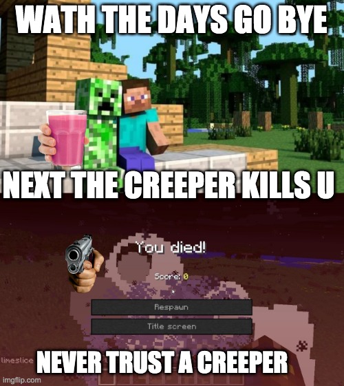 WATH THE DAYS GO BYE; NEXT THE CREEPER KILLS U; NEVER TRUST A CREEPER | image tagged in minecraft friendship | made w/ Imgflip meme maker