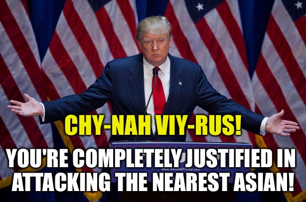 Donald Trump | CHY-NAH VIY-RUS! YOU'RE COMPLETELY JUSTIFIED IN 
ATTACKING THE NEAREST ASIAN! | image tagged in donald trump | made w/ Imgflip meme maker