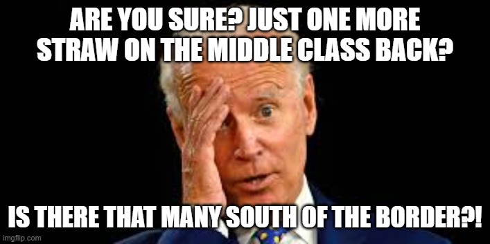 Joe is worried | ARE YOU SURE? JUST ONE MORE STRAW ON THE MIDDLE CLASS BACK? IS THERE THAT MANY SOUTH OF THE BORDER?! | image tagged in middle class,illegal immigration | made w/ Imgflip meme maker